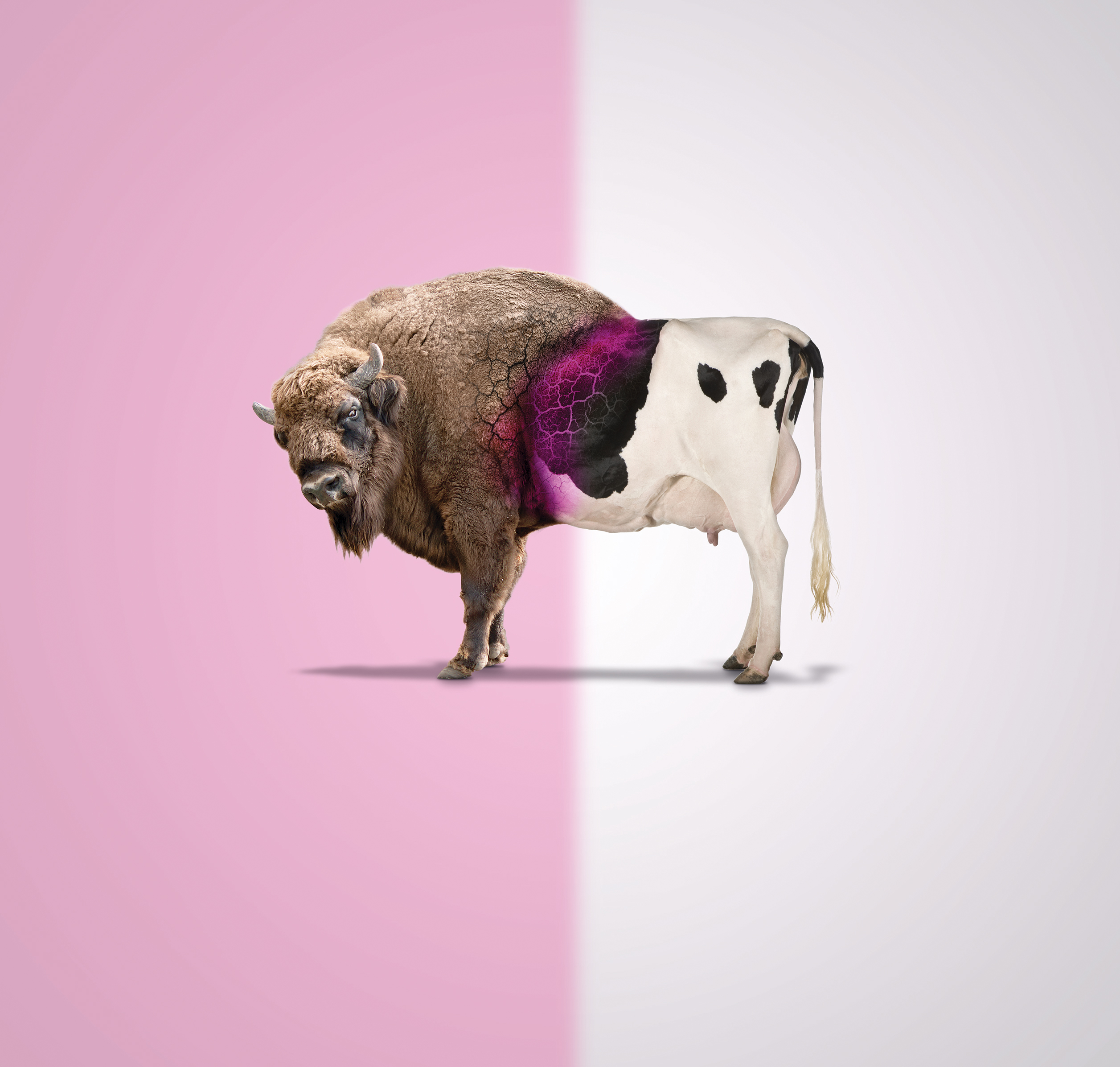 Product intro image