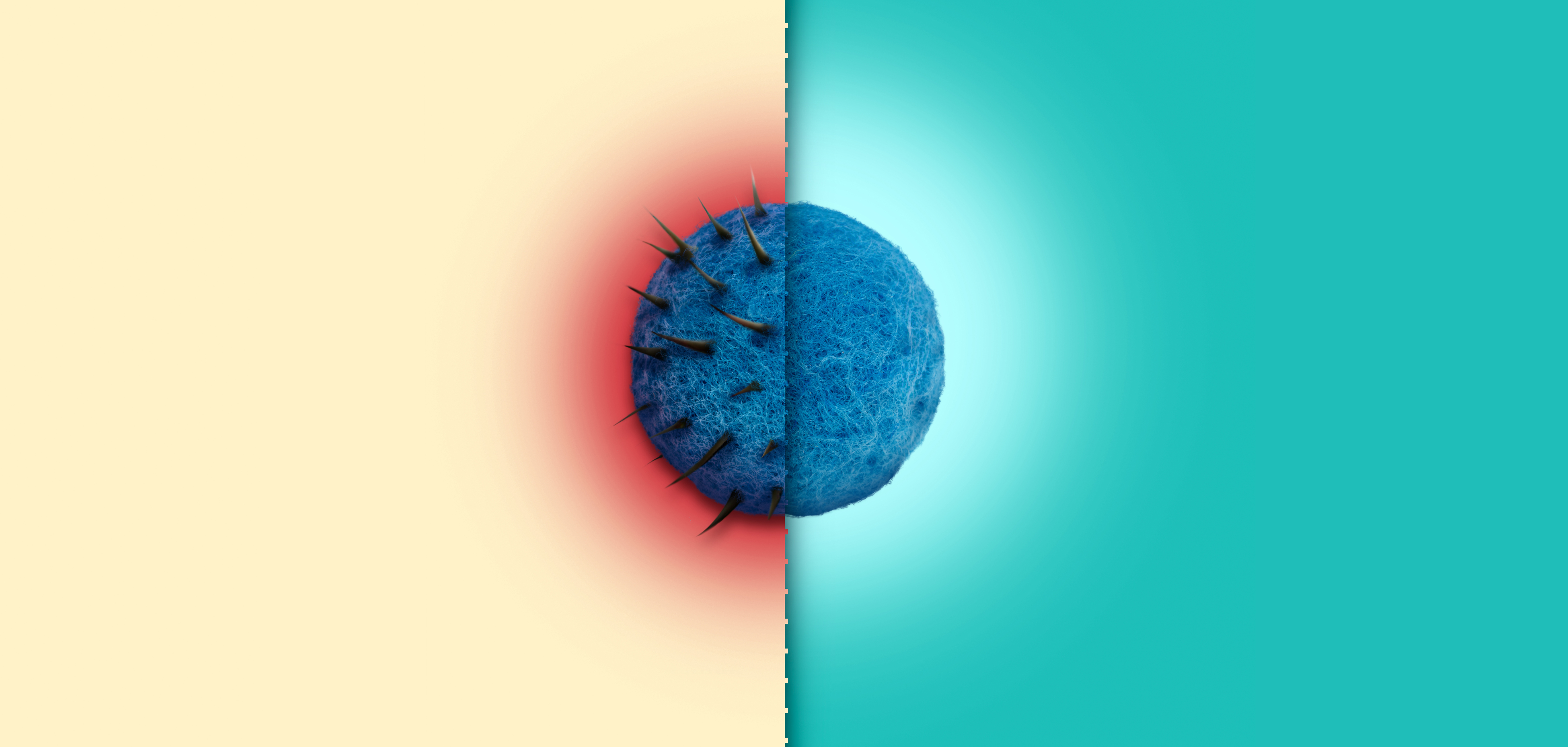 Product intro image