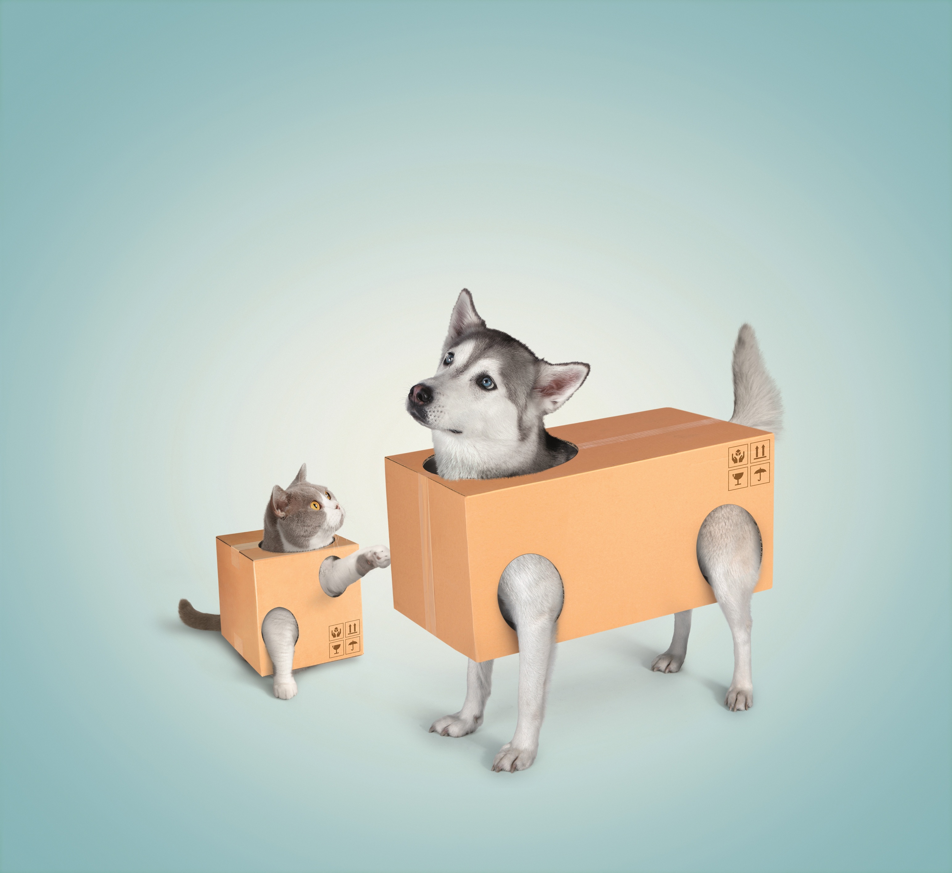 Product intro image