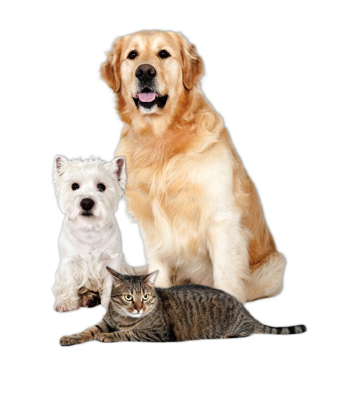 Product intro image